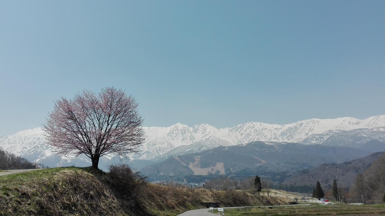 Pension Blue Hakuba Esterno foto
